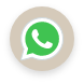 Whatsapp Icon